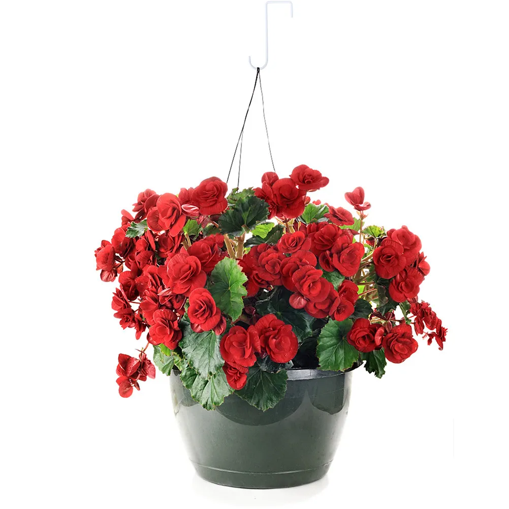 10Pcs Sturdy Steel Swivel Dual Gardening Hooks Multi Purpose Hanging Plants Flower Troughs Chandelier Bird Garden Supplies