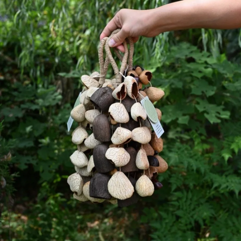 Nut Shell Hand Bells Natural Meditation Fruit Shell Bell Spiritual Healing Handmade Hanging Wind Chimes Percussion Instruments