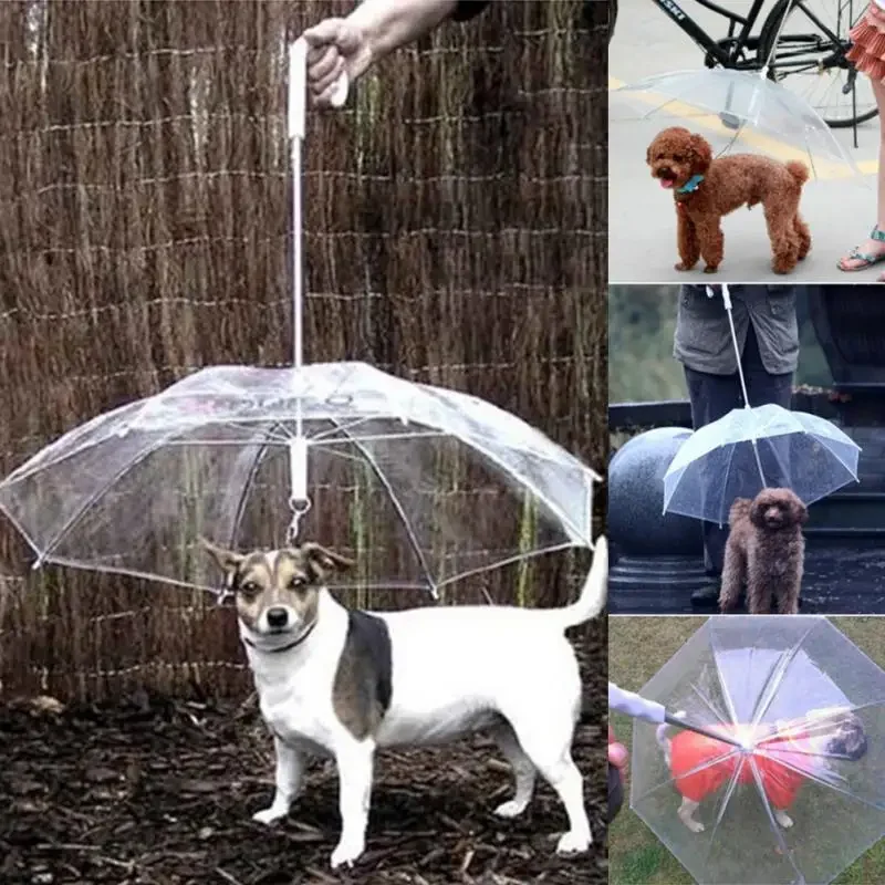 

Transparent Small Dog Rain Gear with Leads, Keeps Pet Dry, Comfortable in Snowing Useful