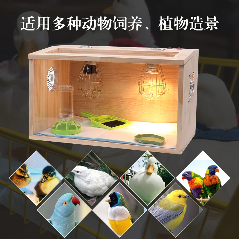 Rudin chicken insulated box lamp for raising ducklings, parrots, and chicks