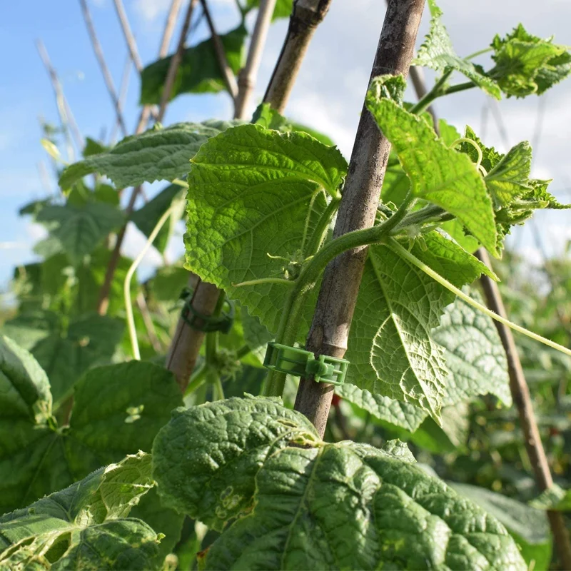 200 PCS Garden Plant Support Clips, Tomato Clips, Trellis Clips, For Cucumber Flower Squash Vine, 1 Inch Inner Diameter