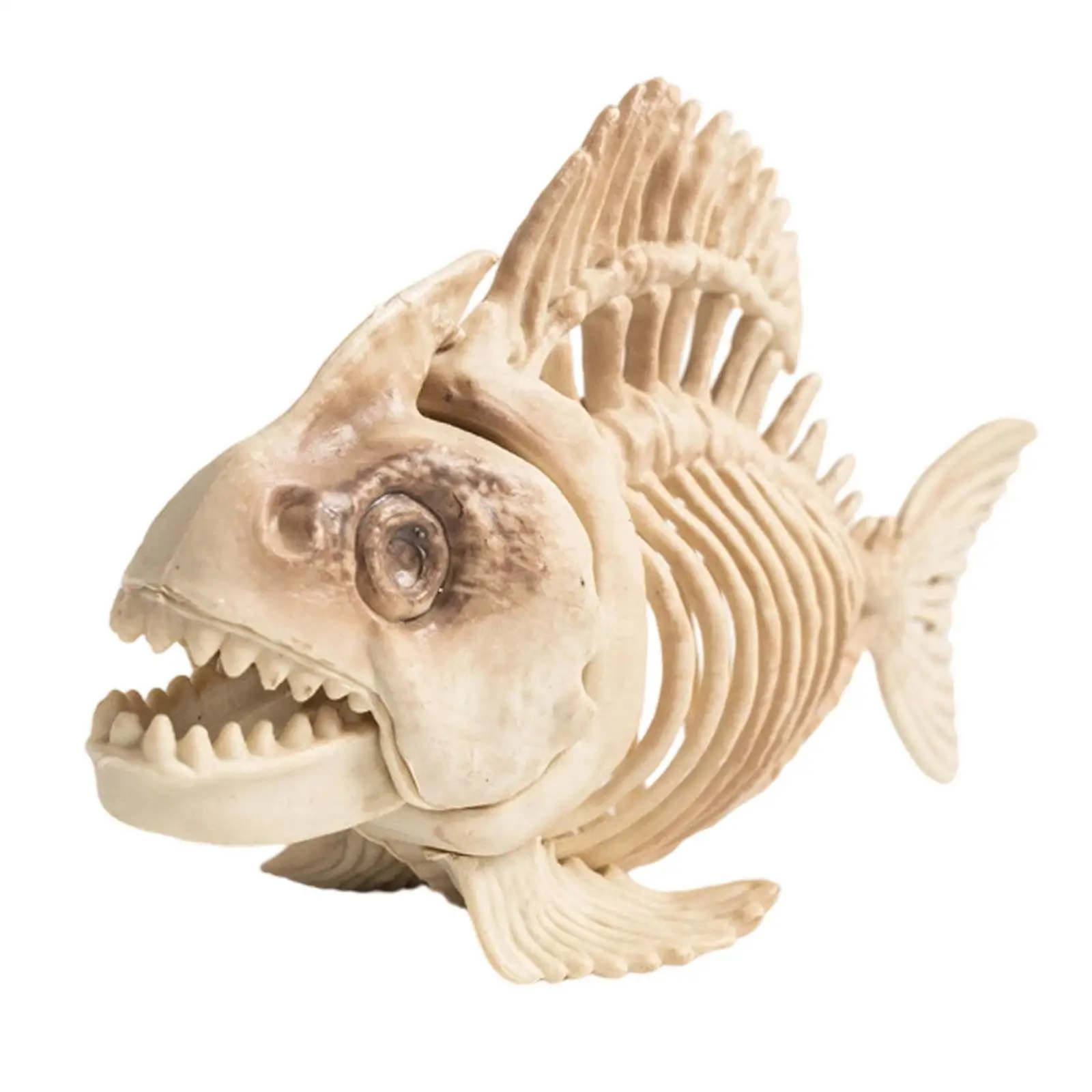 Fish Skeleton Halloween Decoration for Educational Model White Skull Statue