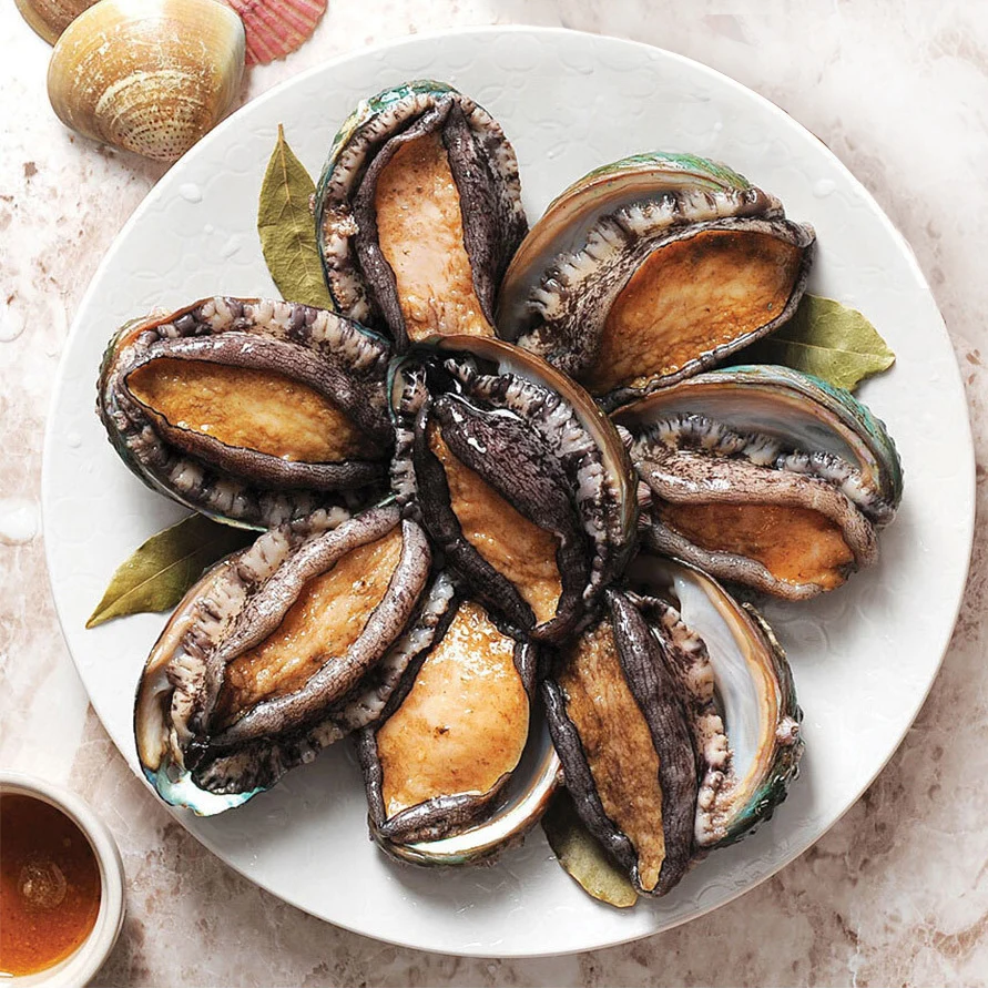 완도 활 전복 1kg (30-40미)