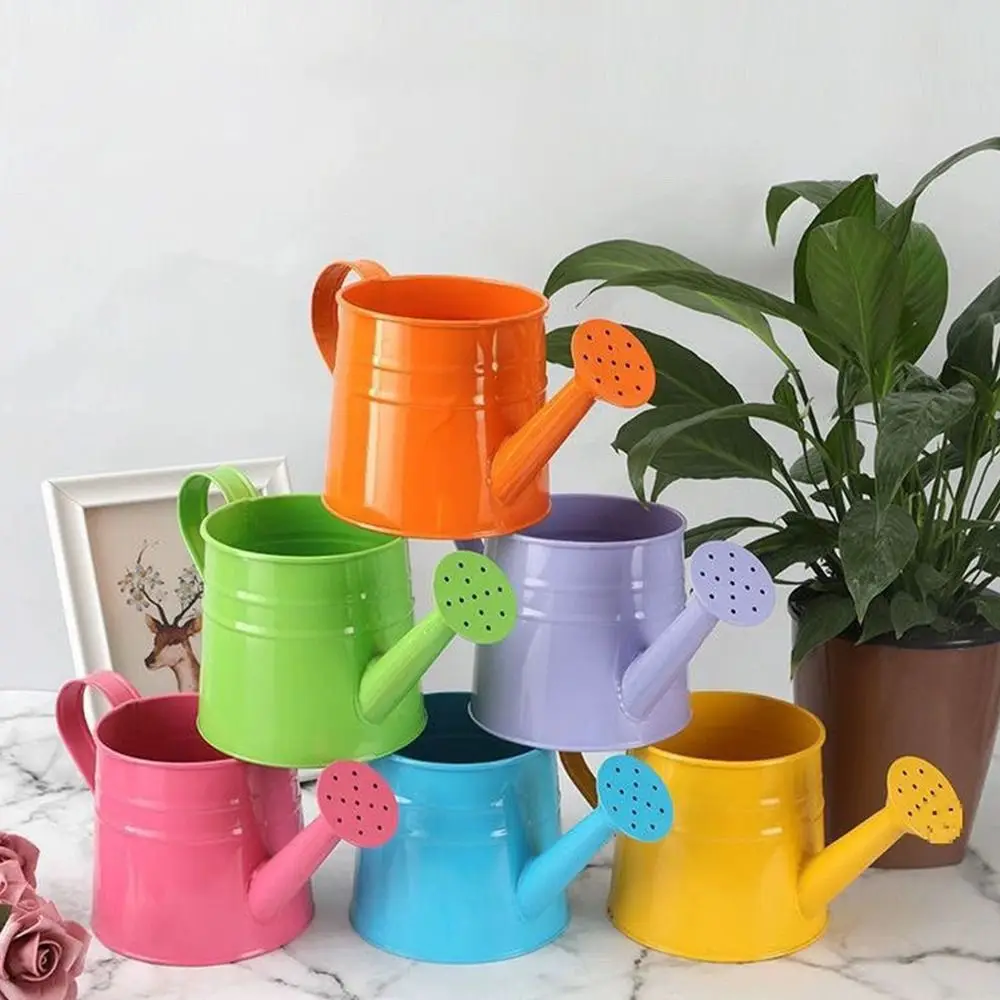 

Vintage Metal Watering Can Large Capacity Home Water Spraying Pot Garden Plants Decorations for Children