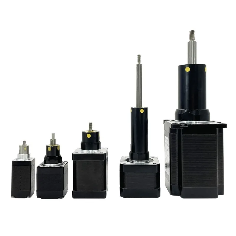 20 Attuatore trasportatore per automazione del carico luminoso con servocilindrico passo-passo lineare