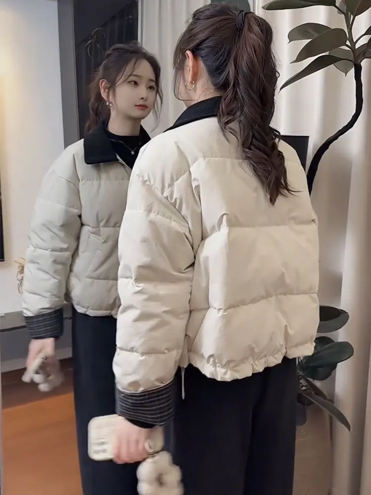 

Women's Short Thickened Cotton Jacket Casual Style Winter Outerwear Knot Detail Zipper Closure Long Sleeve Collar