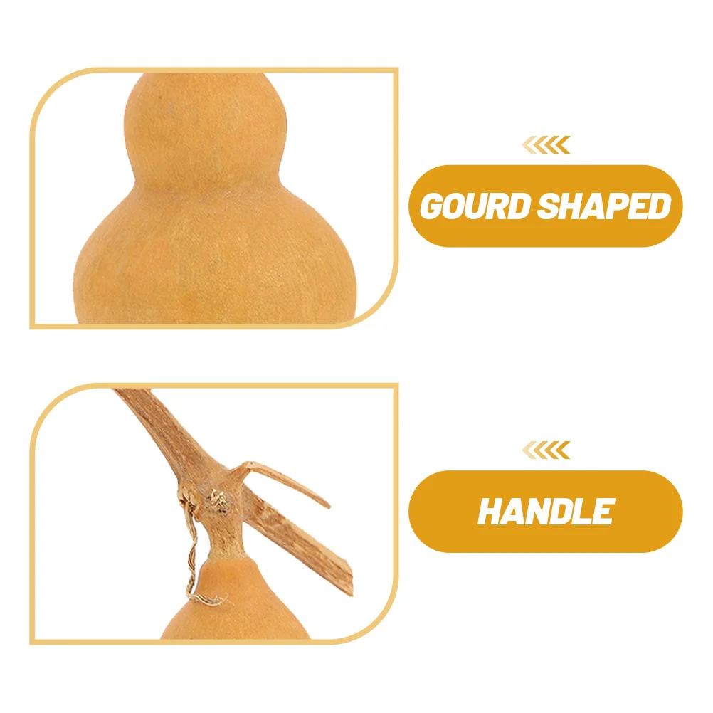 10 قطعة ديكورات فنون القرع الطبيعي الحلي لمكتب متجر مول ديكور مساحة صغيرة ديكور الحرفية الهدايا