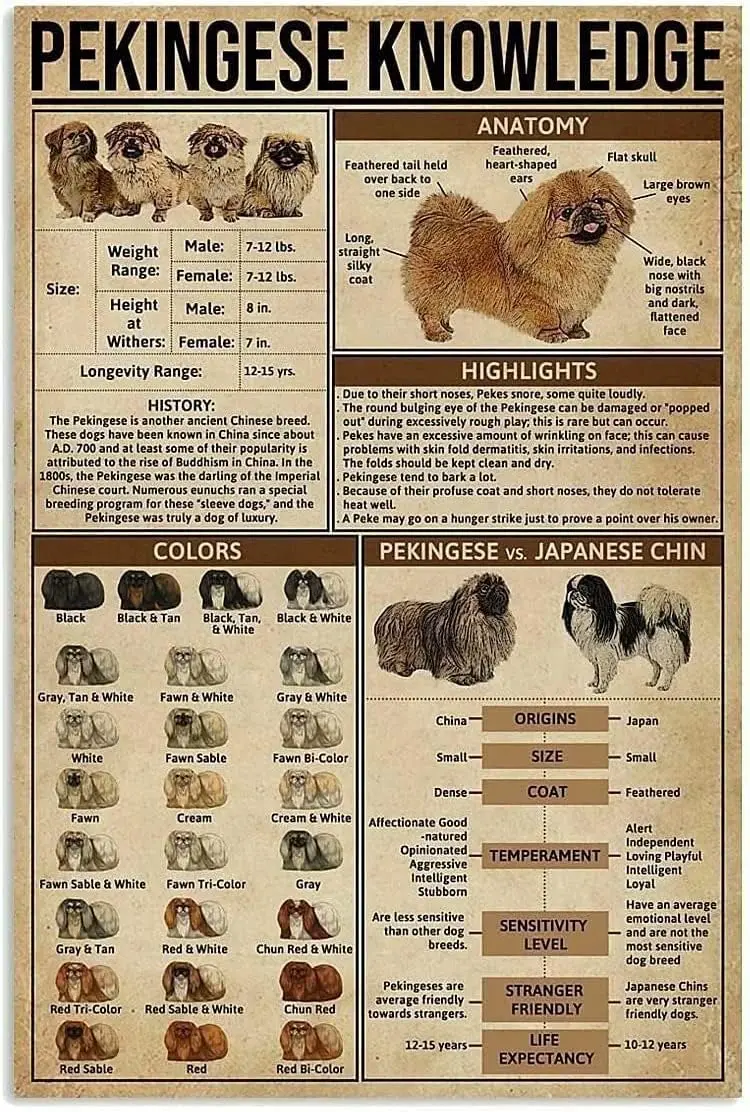 Dog Knowledge Metal Tin Sign Anatomy Of Pekingese Retro Printing Plaque School Pet Shop Cafe Bar Bedroom Bathroom Kitchen H sign