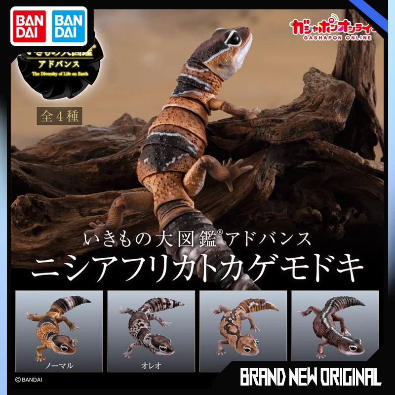 BANDAI Biological Encyclopedia Action Figures Model Fat Tailed Palace Lizard Cute Pet Gashapon Ornament Official Genuine