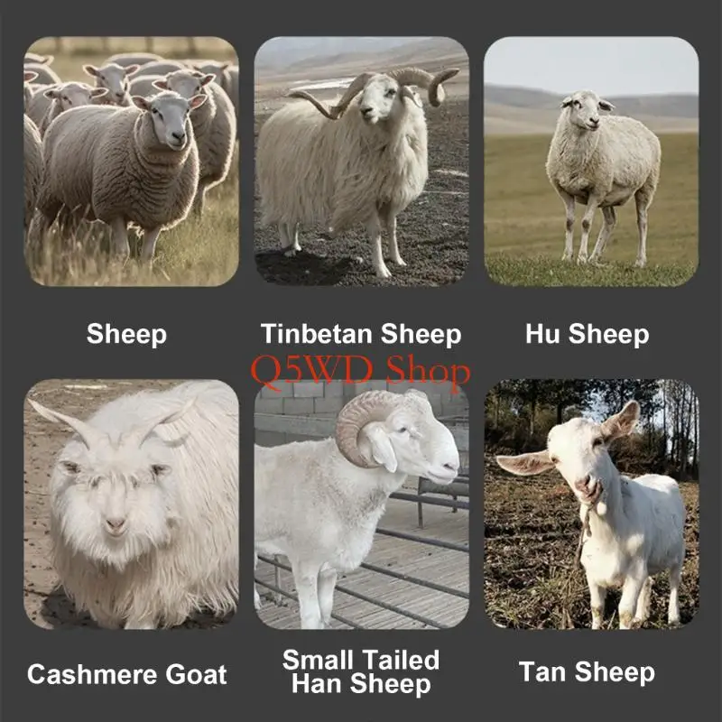 q5wd-manual-la-cisalhamento-cisalhamento-aco-aco-tesoura-long-cutter-multifuncional