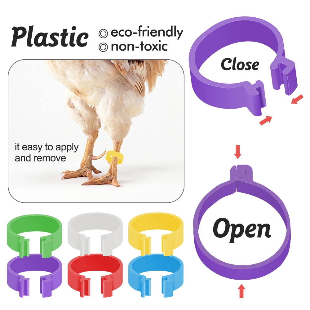 16mm Poultry Clasp Foot Ring Without Text Colourful Chicken Clip  Animal Identification Tool Rings for Farm Leg Chick Duck Goose