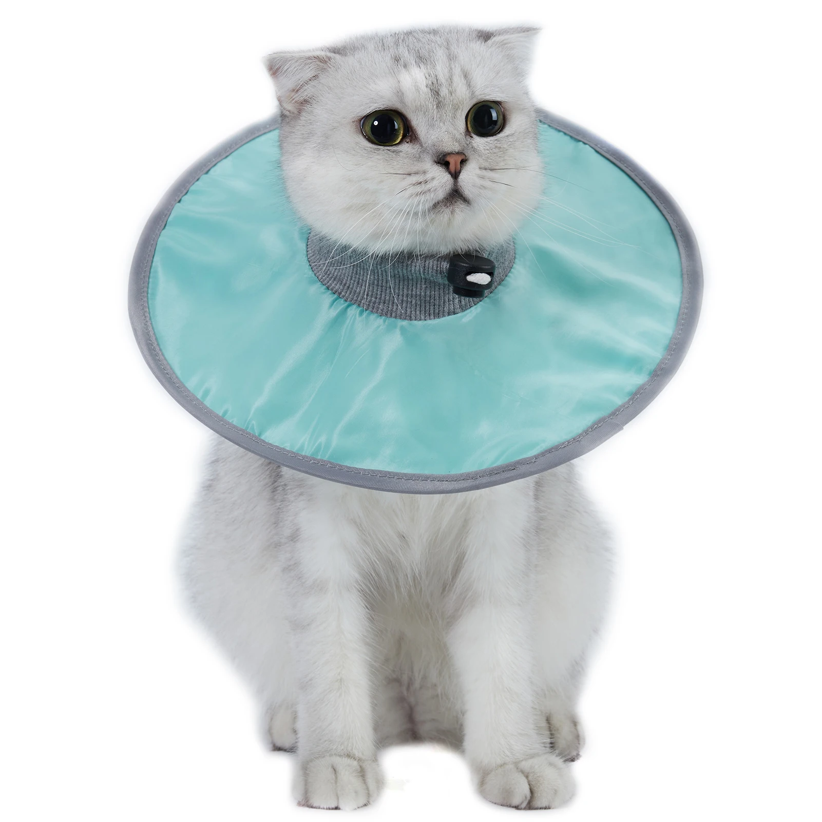 Collier de protection pour chat, collier de récupération anti-morsure et anti-léchage, réutilisable, pour la santé des chats et des chiens, accessoires pour animaux de compagnie