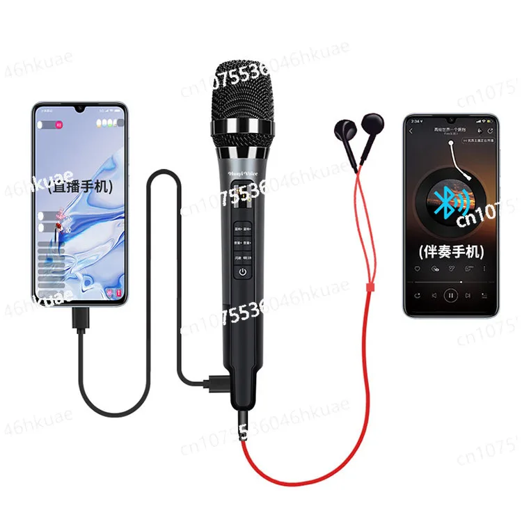 

Встроенный микрофон с направленной звуковой картой в форме сердца с реверберацией для пения в КТВ, дома и на открытом воздухе