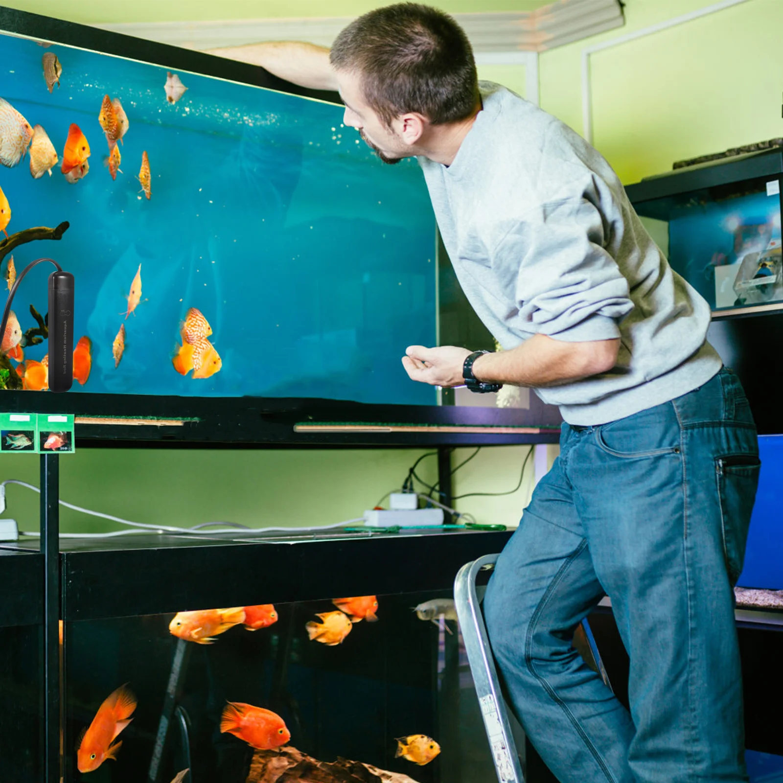 

1Set Fish Tank Heating Rod Portable Automatic Aquarium Heater Us Plug Explosion Proof Quartz Glass Temperature Sensor Constant