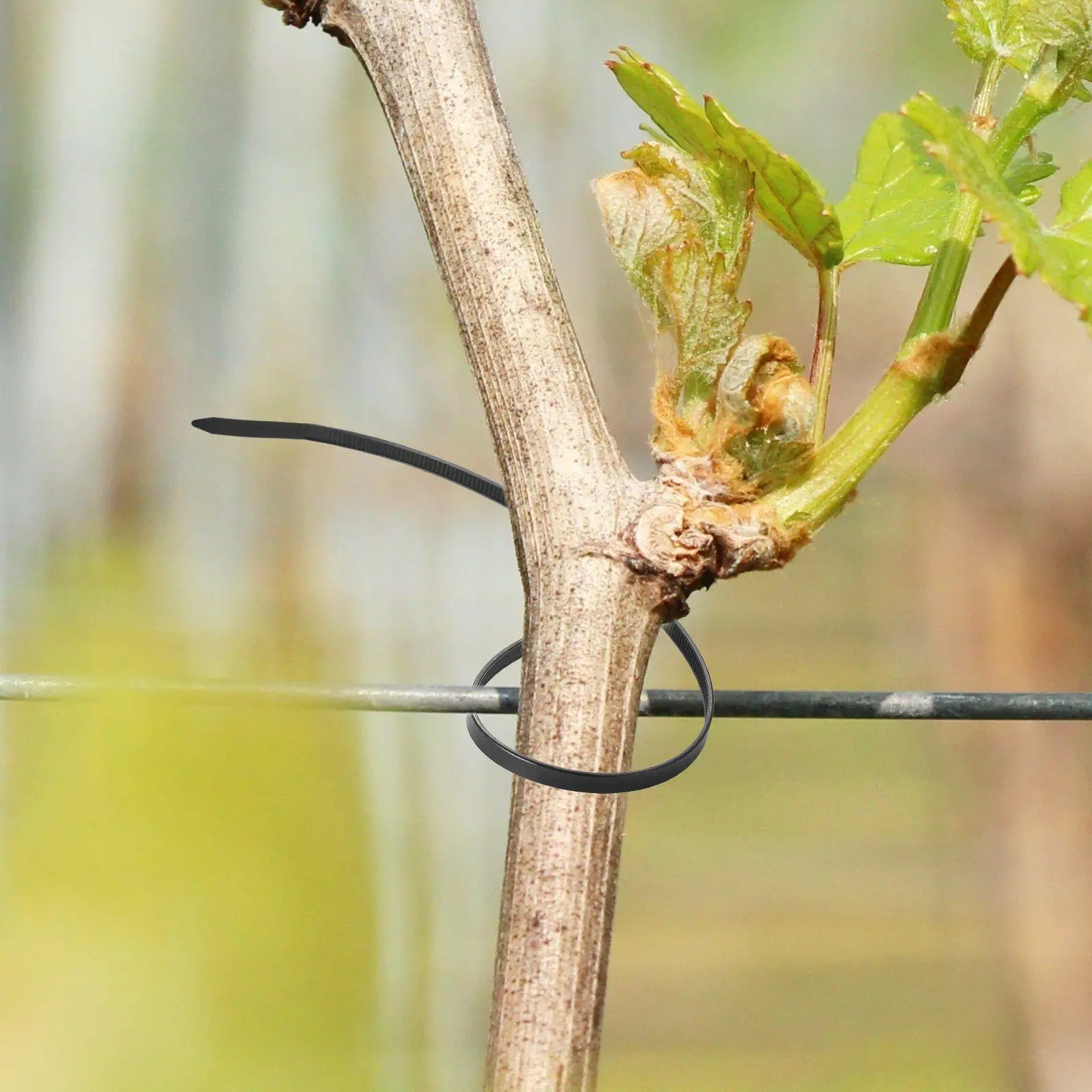 

1000 Units 12-inch 50lb Pull Strength Cable Ties Premium Nylon Material Easy One-Hand Operation No Tools Required