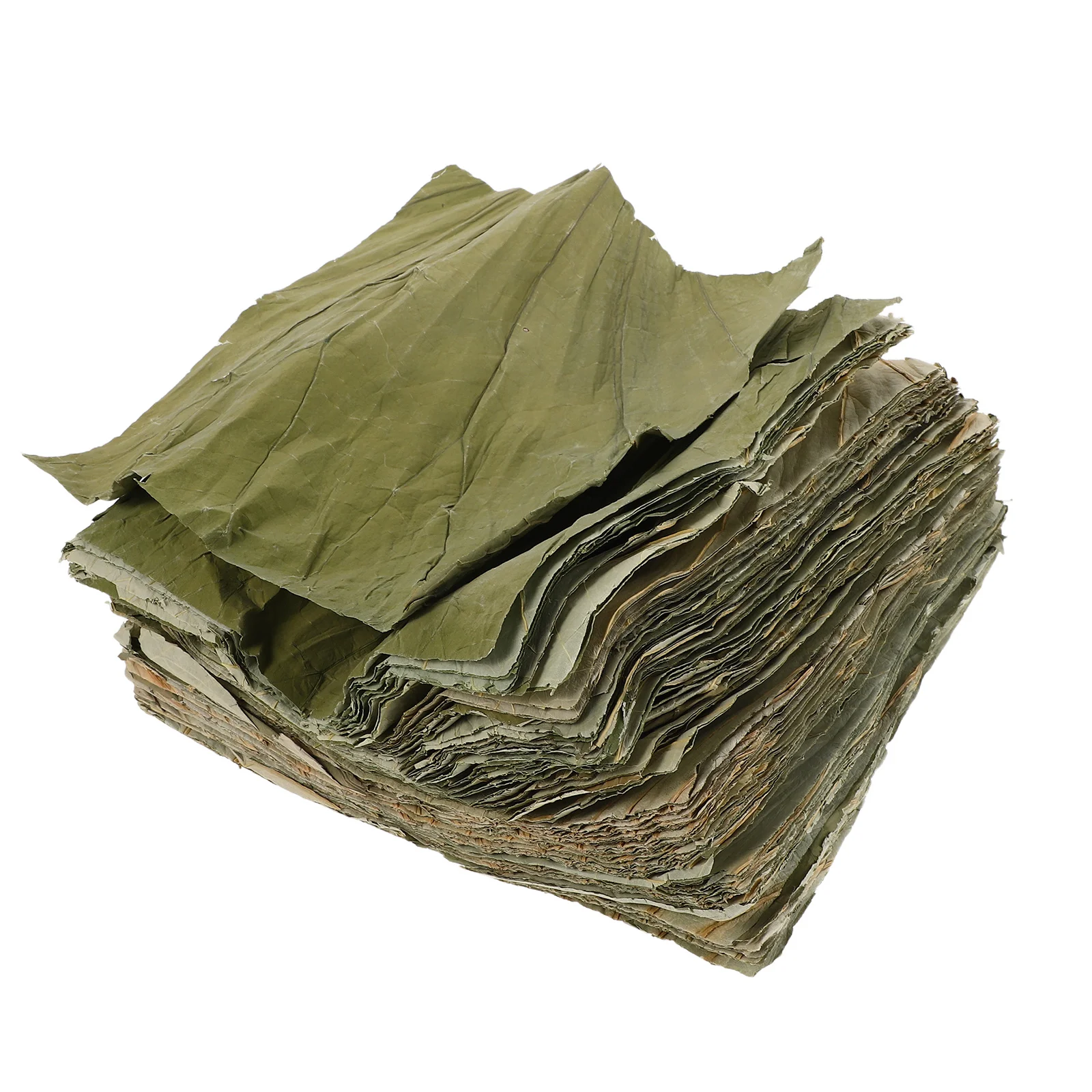 

100Pcs Sushi Plate Decor with Natural Lotus Leaf Sheets for Buffet Platter Liner Asian Food Wrap Rice Dim Sum Presentation