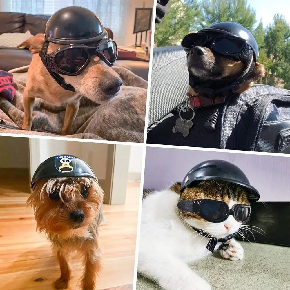 New Ctue Adjustable Safety Pet Cap ABS Dog Helmets Fashion Pet Protect Ridding Cap for Pet Motorcycles Bike Sun Rain Protection