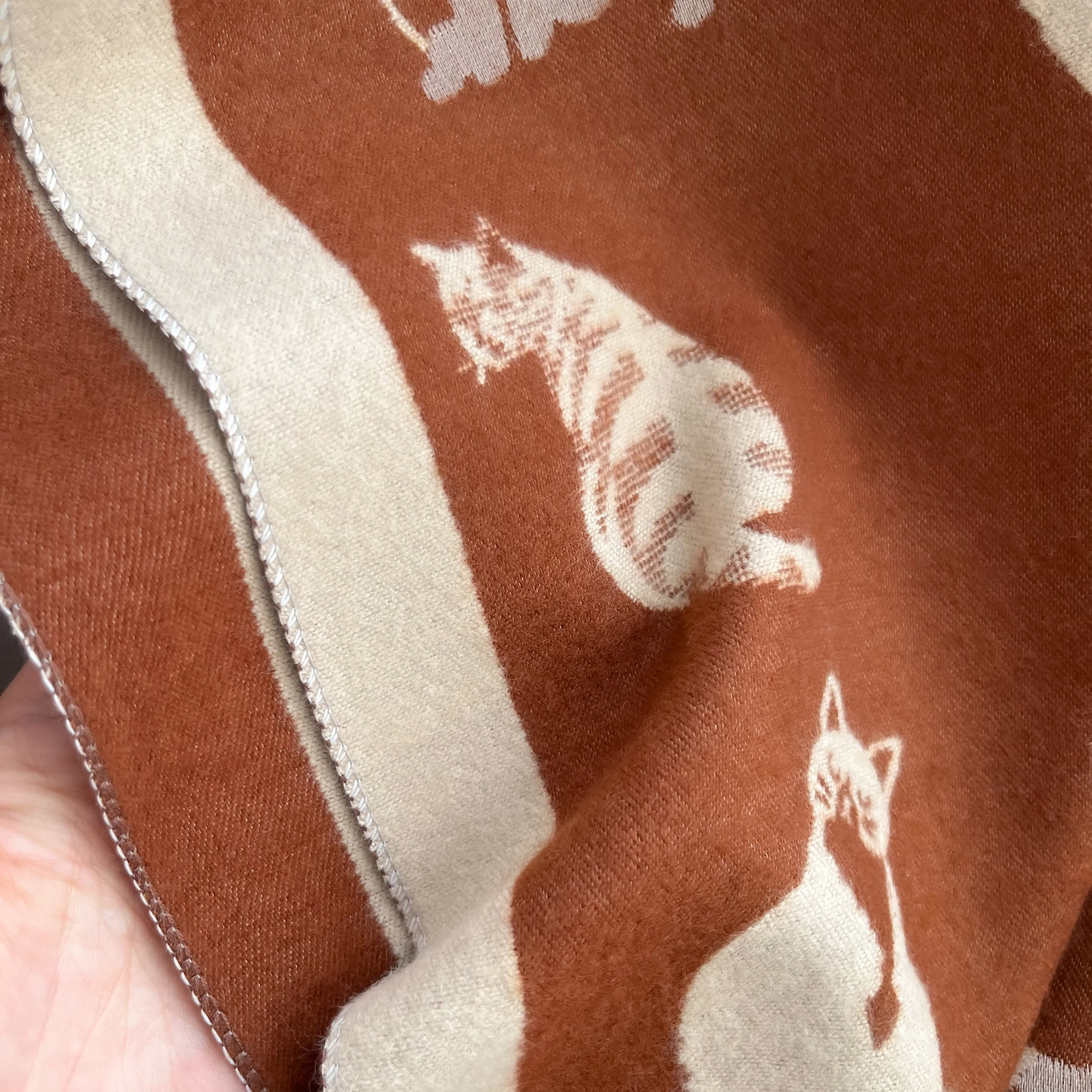 Frauen Neueste Tier Jacquard Katze Schal Imitation Kaschmir Weiche Warme Fransen Schal Herbst Winter Kältebeständig Winddicht Decke 2025 – Detail 27