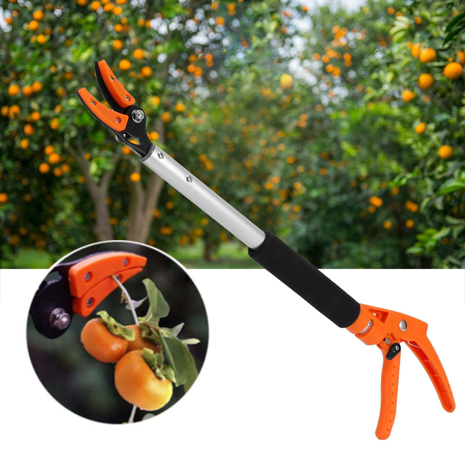 Fruit Picker Fruit Picker Scissors Cutter for Grapes Peach Branch Pruning Shears Gardening Accessory Fruits Shears Garden Shears