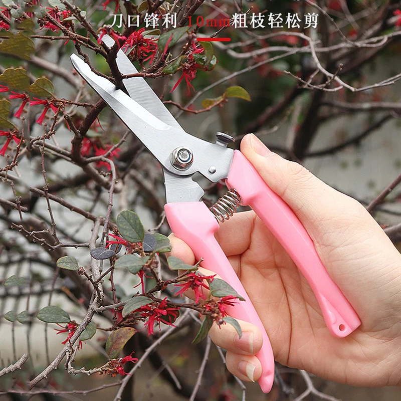 2pcs Garden Pruning Shears Color Stainless Steel Flower Pot Decorative Professional Scissors Fruit Flower Rough Branch Shears