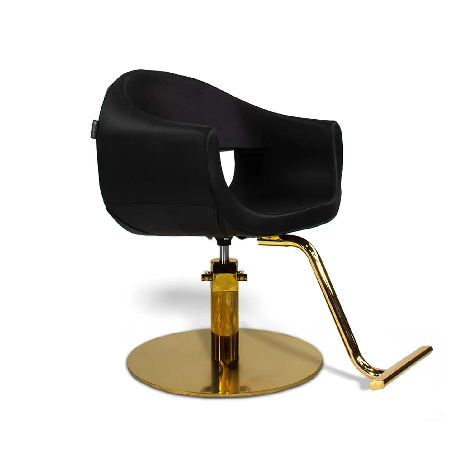 Salon Styling Chair Black Seat Gold Base, Beauty Barbershop Hair Studio Professional Furniture Equipment, Customized