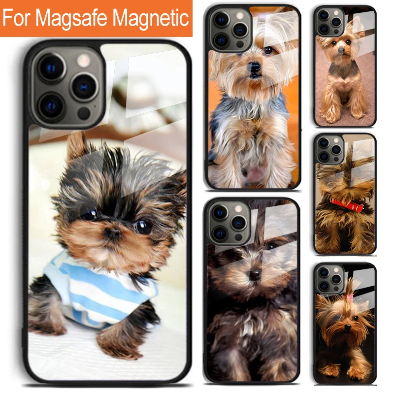 Dog YORKSHIRE TERRIER Puppy Phone Case For iPhone 16 15 14 13 12 11 Pro Max Plus Magsafe Magnetic Wireless Charging Cover