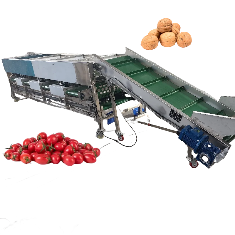 Blueberry Size Sorter Grader Fruit Cherry Tomato Sorting Machine Apple Citrus Onion Selector Fruit Grading Machine