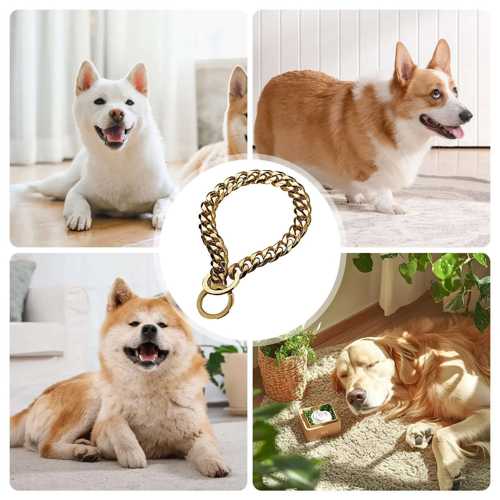Stainless steel Dog Choking Chain Collar Humanized training aids Heavy Duty Black and Gold Stylish practical Collar pets supply