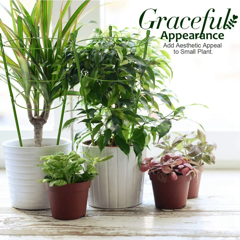 2-пакетная клетка для поддержки растений, металлическая устойчивая к ржавчине опора для садовых растений, кольцо для поддержки растений, опора для растений