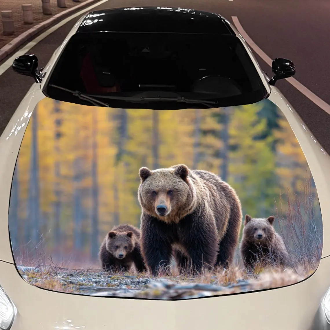 

Car Decals Bear Family in Forest Car Hood Sticker, Waterproof Self - Adhesive Vinyl Graphics Decals, Decorative Protective & Scr