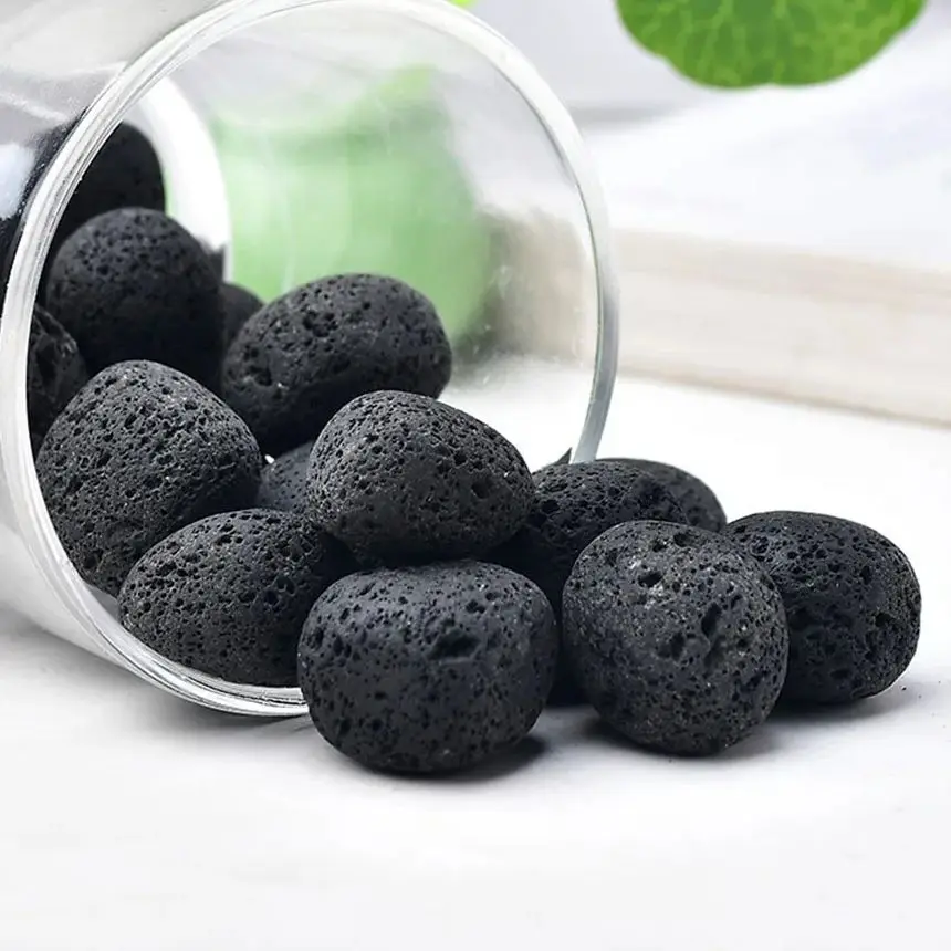 Fish Tank Filtered …