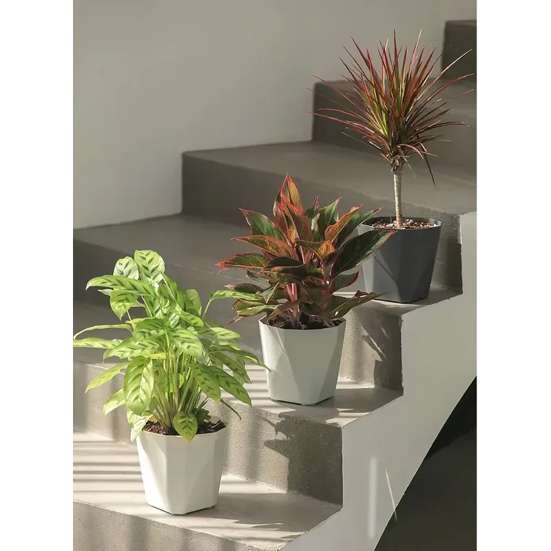 Modern Plastic Plant Pot with Tray Simple PP Flower Planter Container for Green Plants Floor Table