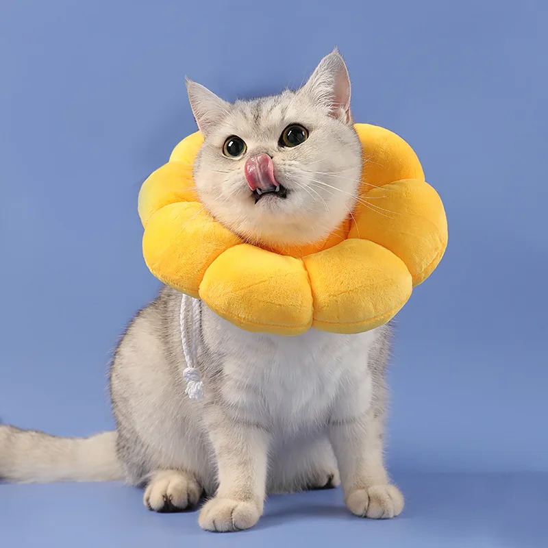 Surgery High-quality Comfortable Innovative Advanced Technology Safe Premium Material Cat Surgery Protection Collar Anti-bite