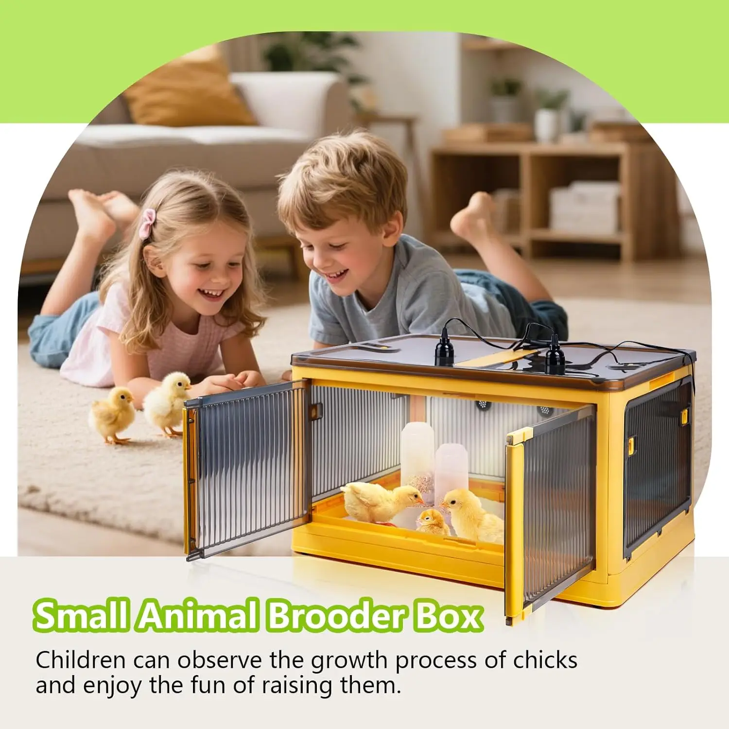 Indoor Chick and Duck Brooding, Plastic (Assumed) Material, No Color Mentioned, 115L with Heater and Thermometer
