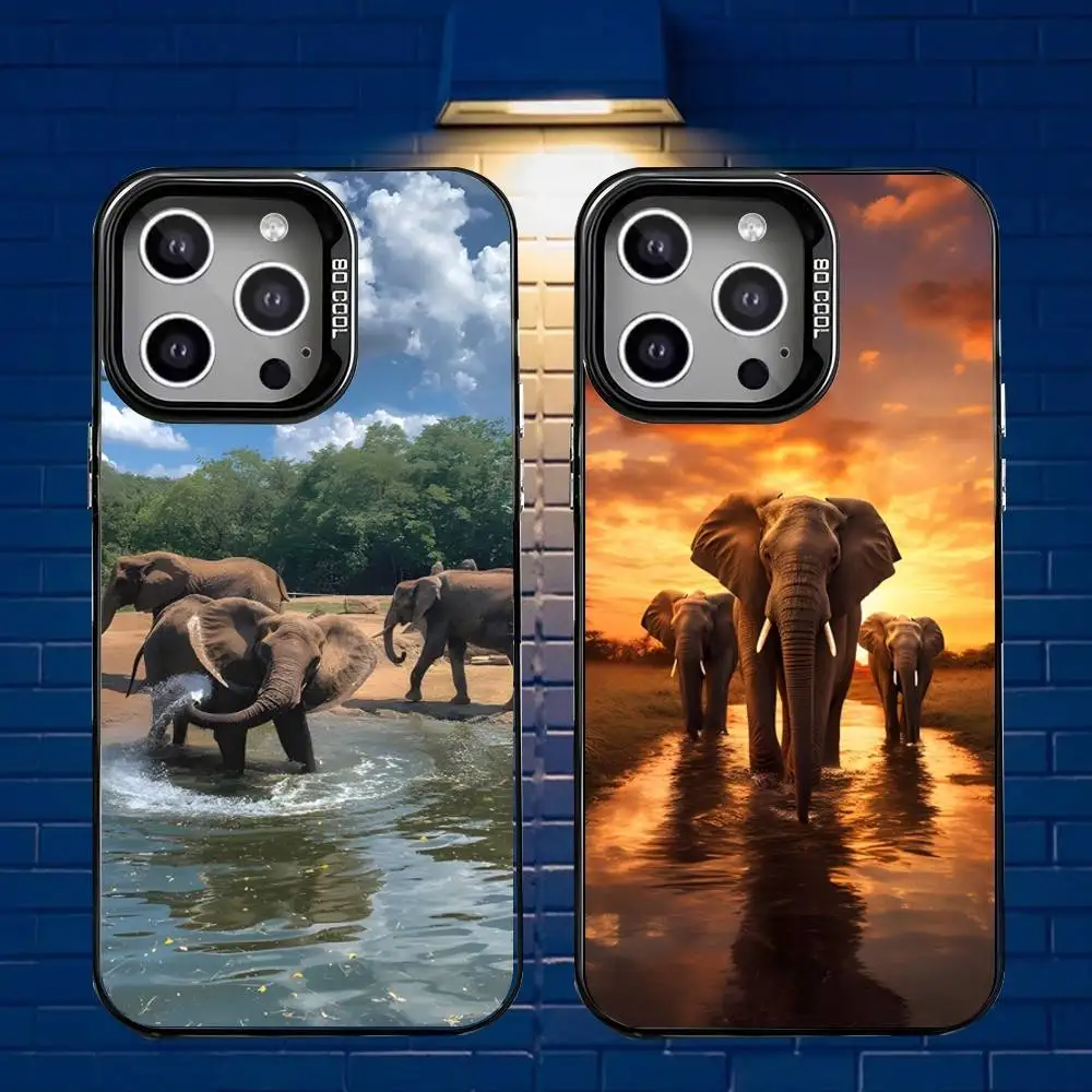 

Animal Elephant Phone Case For iPhone 16,15,14,13,12,11,Mini,Pro,E,MAX Gray Matte Silicone Black Cover