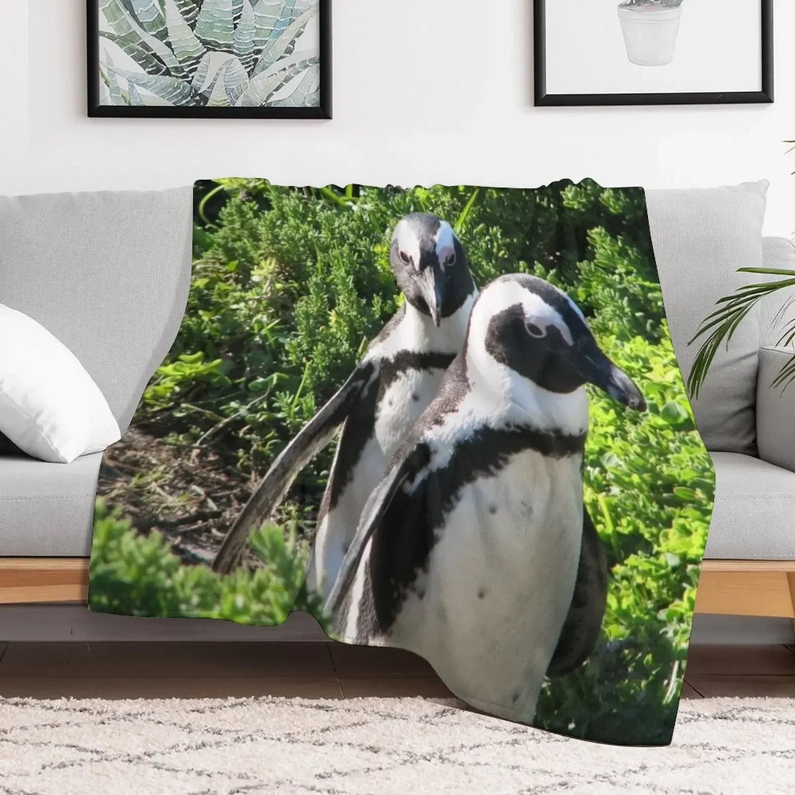 Two African Penguins Strolling Boulders Beach, Cape Town, South Africa Throw Blanket Stuffeds Winter beds For Baby Blankets