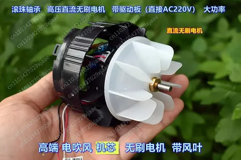AC/DC 60-240V High Voltage Brushless hair dryer Motor Ball bearing motor With Drive For Hair Drier Home Ceiling Fan accessories