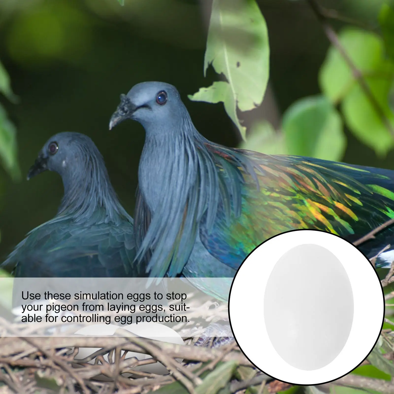 

30pcs Simulation Pigeon Eggs Solid Plastic Bird Egg For Tricking Pigeons To Stop Laying Replace Real Eggs Pet Supplies Decor