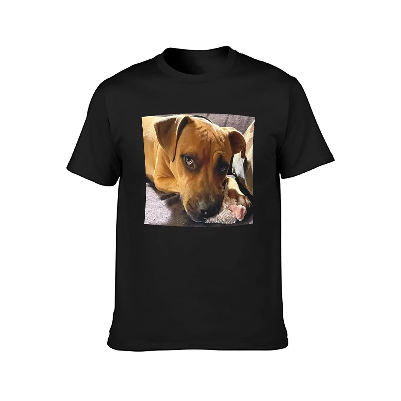 Doggie with toy T-Shirt aesthetic clothes summer top Men's t-shirts