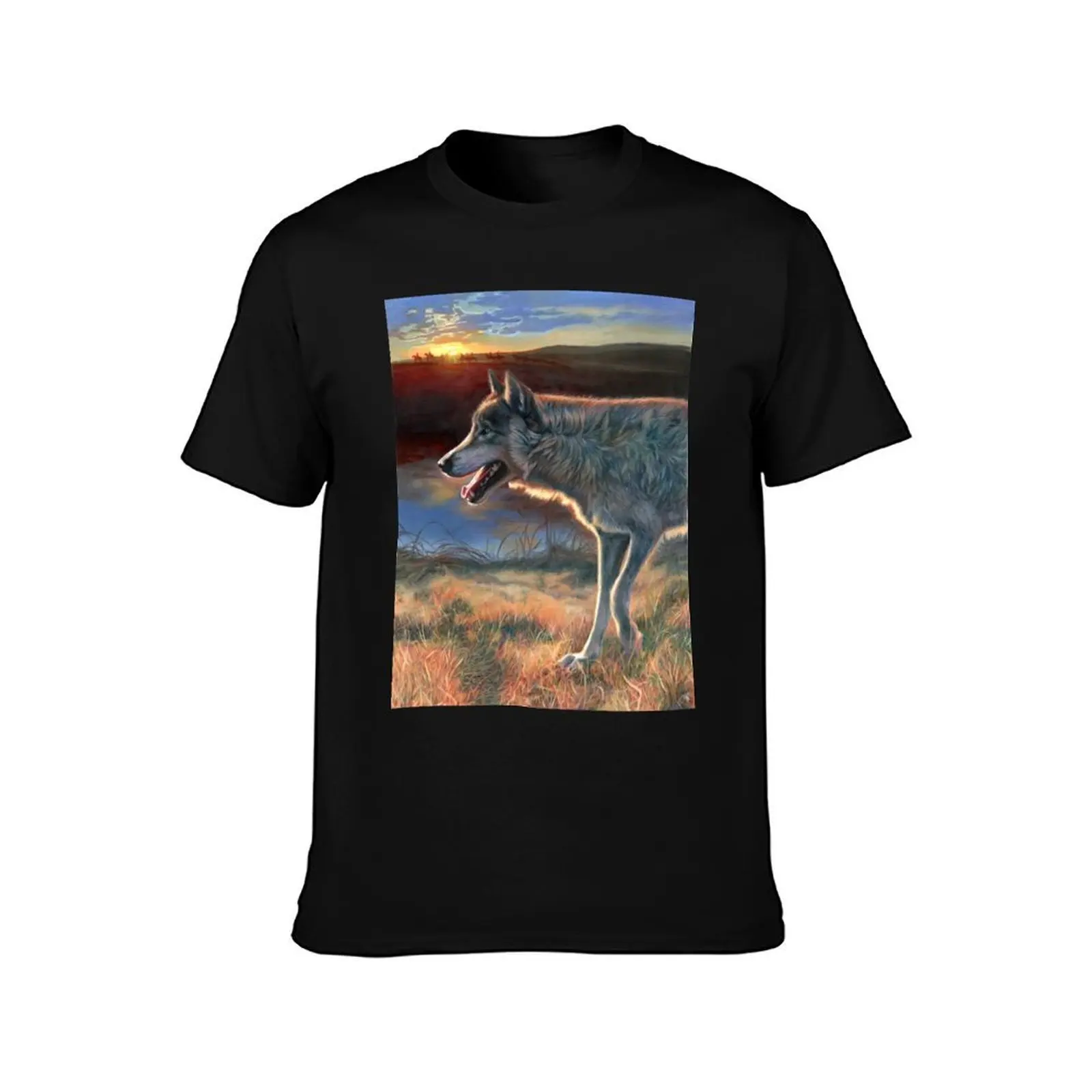 Two Socks - Dances with Wolves T-Shirt, Summer Casual Cotton Tee, Oversized Streetwear Tops, Vintage Graphic Print, 100% Cotton