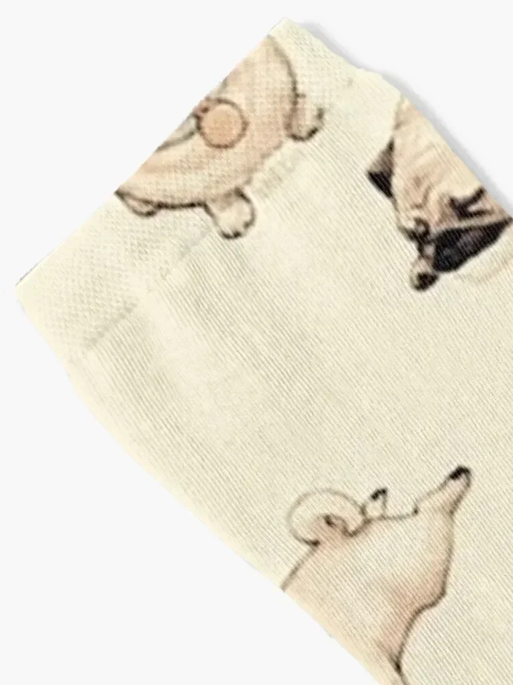 Pug Dog Art Pugs puppy funny cute dogs Socks Toe sports fashionable sport Socks Girl Men's