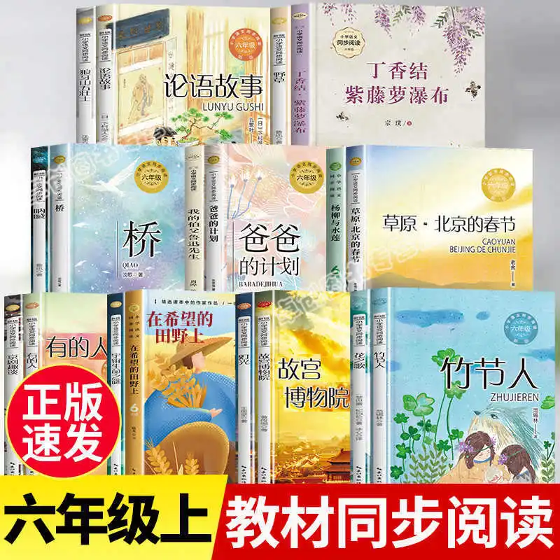 

Необходимо читать позаклассную книгу для 6-го класса, включая произведения письма, фигурки бамбука, сирень, фиолетовые лозы и плющ.