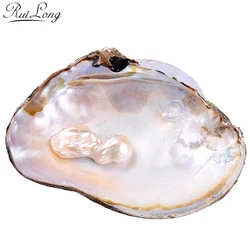11*17cm AA quality natural fresh water pearl oyster clam shell for jewelry crafts