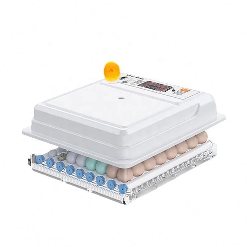 

Инкубатор для куриных яиц с аксессуарами для фермерского двигателя Inqubator Машина для инкубации яиц Поставка для инкубатора для яиц
