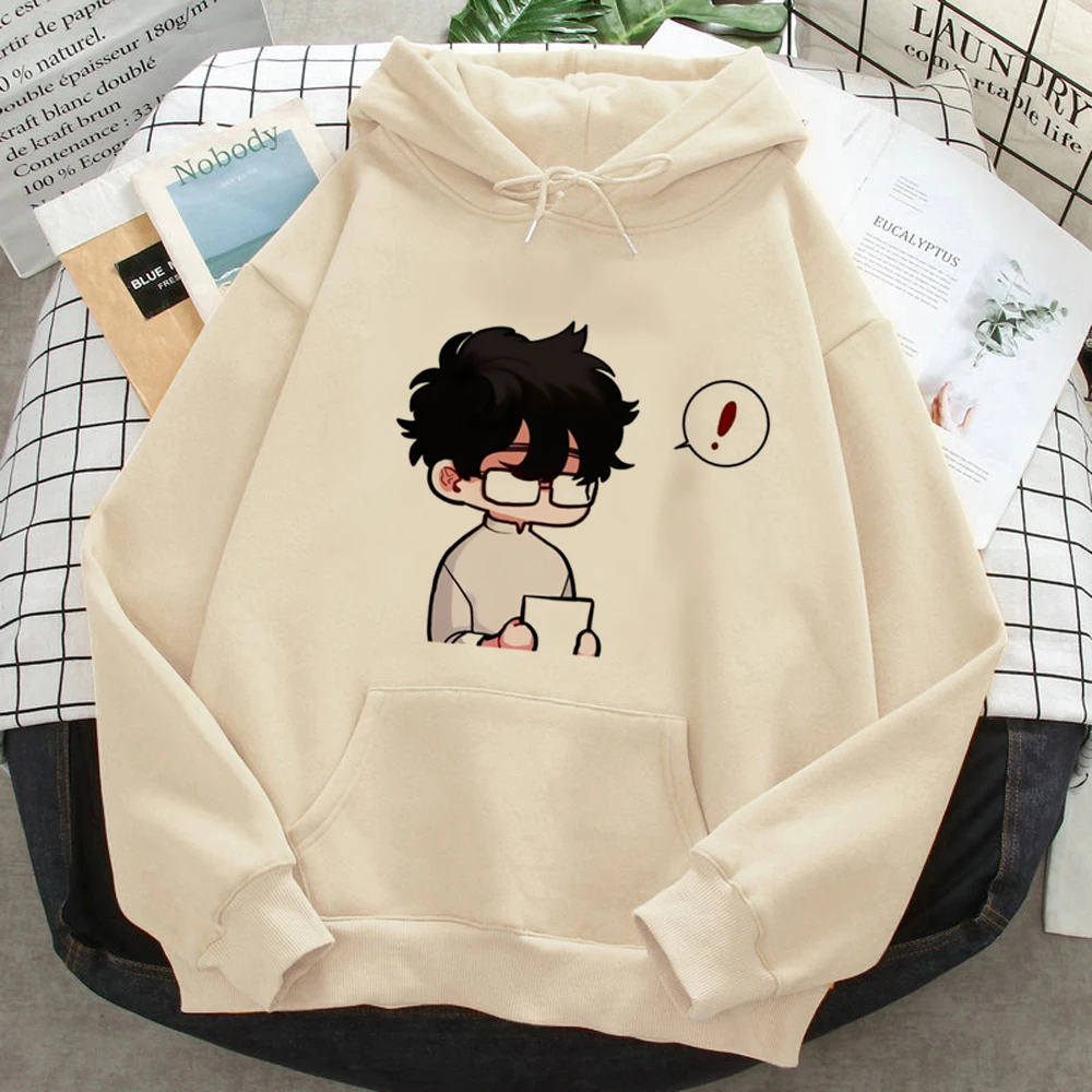 Bj Alex hoodies women y2k aesthetic streetwear hoddies female vintage clothes