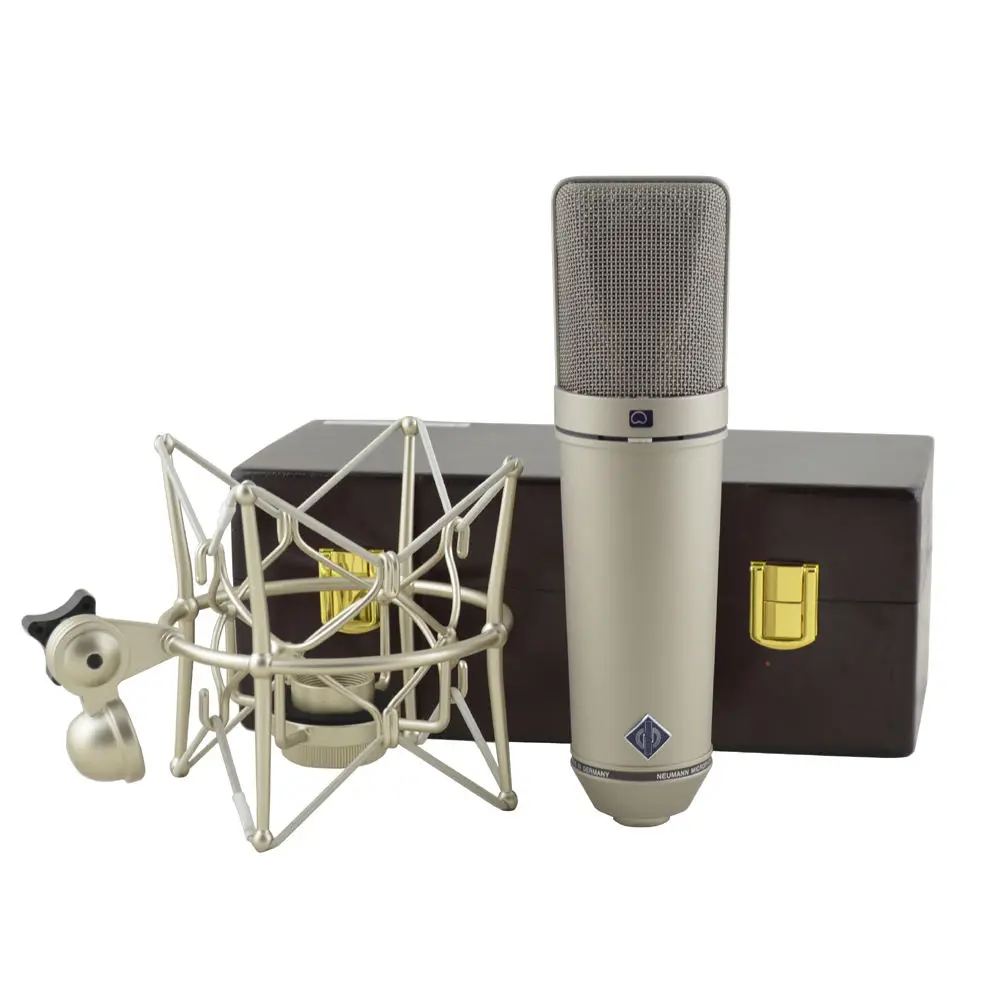 Manufacture Recording Studio Equipment Large Diaphragm Mic 48V Condenser Microphone