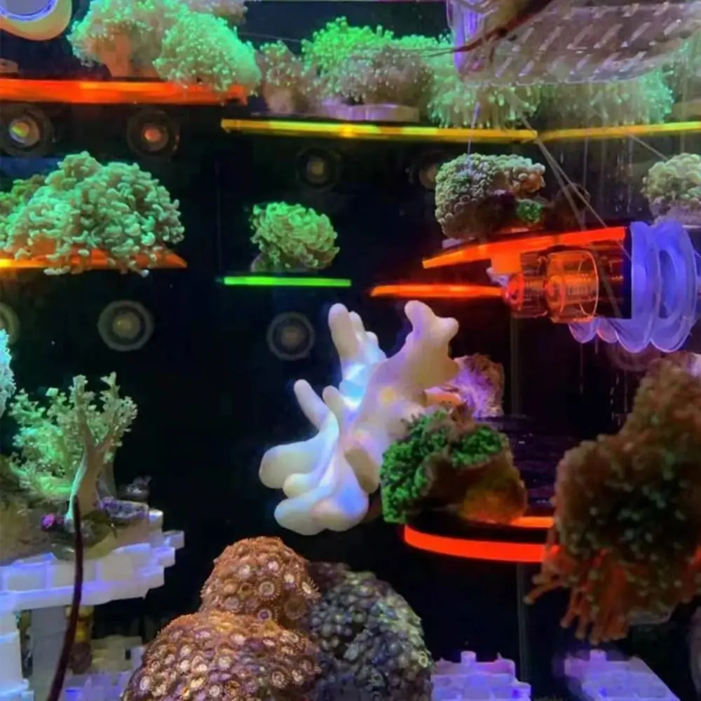 Soporte de Frag de Coral fluorescente acrílico, soporte de cultivo de Coral colorido duradero con ventosa, estante de Coral