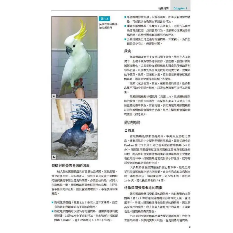 Basic Clinical Manual Of Birds John Chitty Deborah Monks Dog Footprints 9786269520718 Book