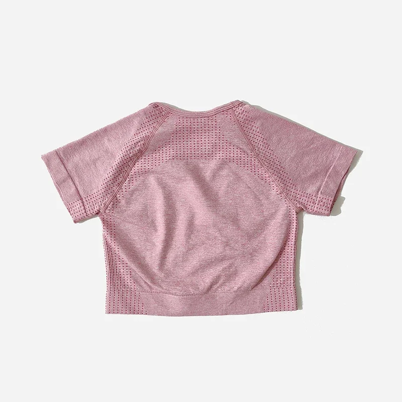 シームレスヨガセット レディース クロップトップ 半袖シャツ フィットネスショーツ ワークアウトウェア 女性用 ジムウェア ヨガ スポーツセット