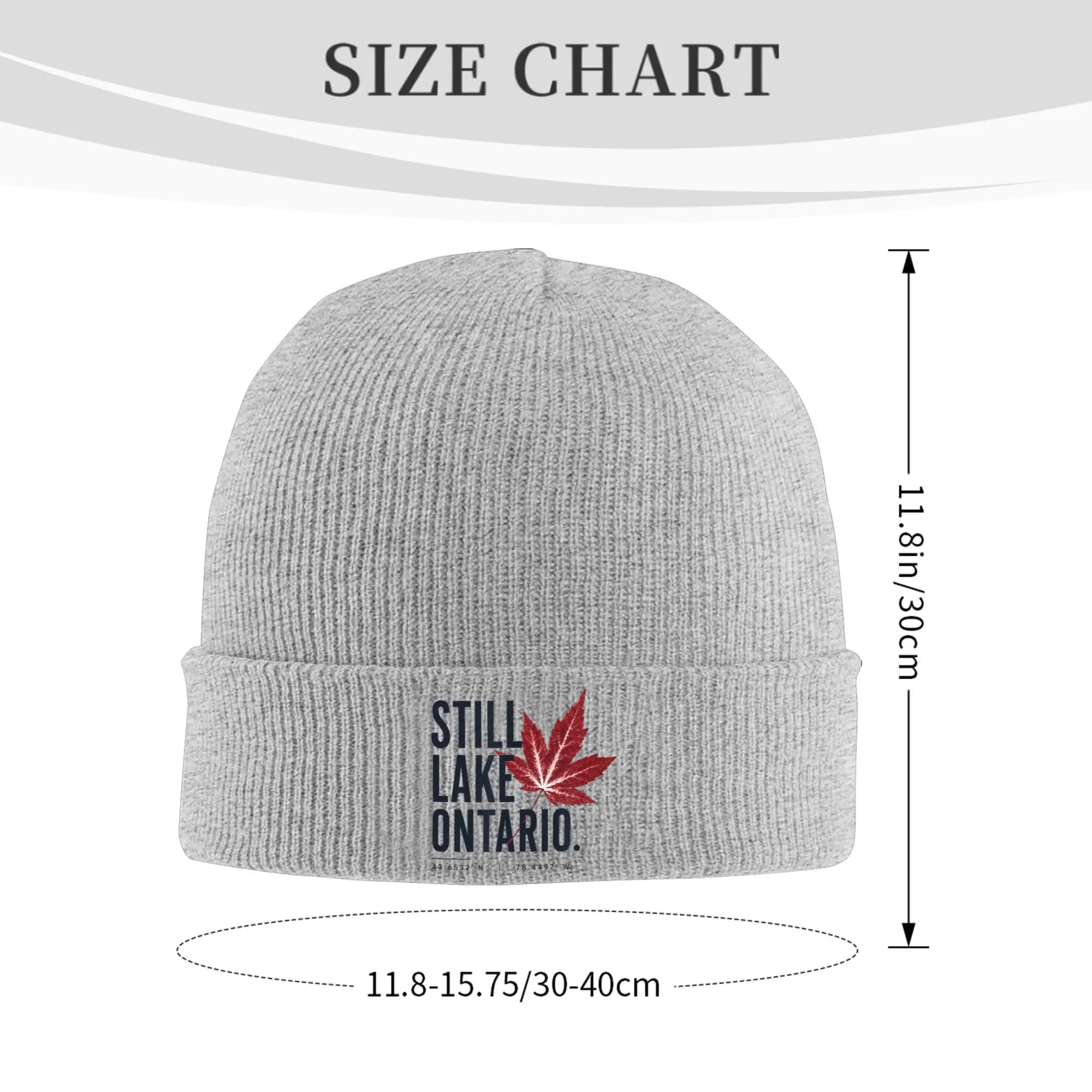 Lake Ontario Not Lake America Beanie Hats  Bonnet Hats Men Women Cool Hippie Skullies Beanies Autumn Design Elastic Caps